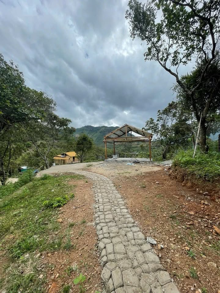 Farm khu du lịch Phước Bình Bác Ái 8280m² giá 1.5 tỷ - Cơ hội kinh doanh hấp dẫn!