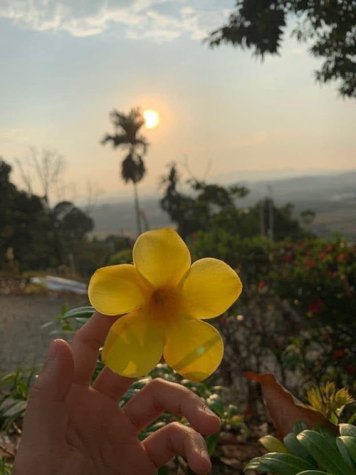 Căn hộ Chung cư An Phú Hậu Giang 50m² giá 2.65 tỷ - Giao nhà ngay!