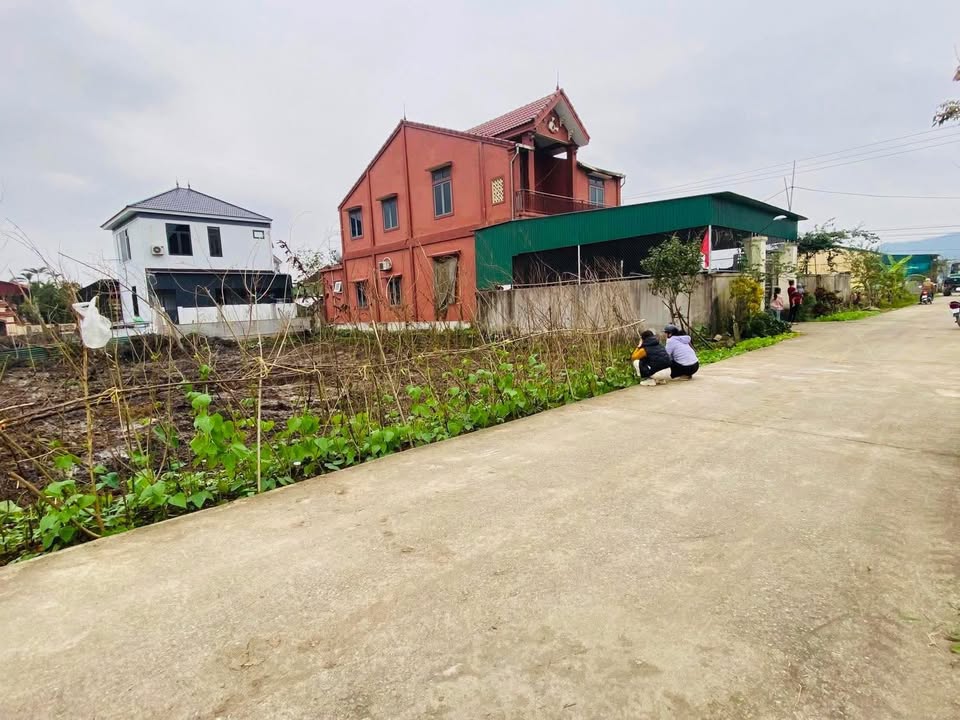 Đất nền Kim Liên Nam Đàn 117m² - Đường rộng, đầu tư sinh lời!