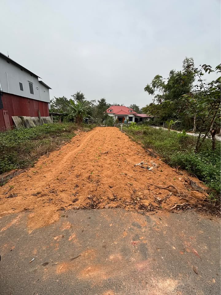 Đất nền Tam Đảo 125m² giá 900 triệu - Tiện ích đồng bộ, sẵn sàng đầu tư!