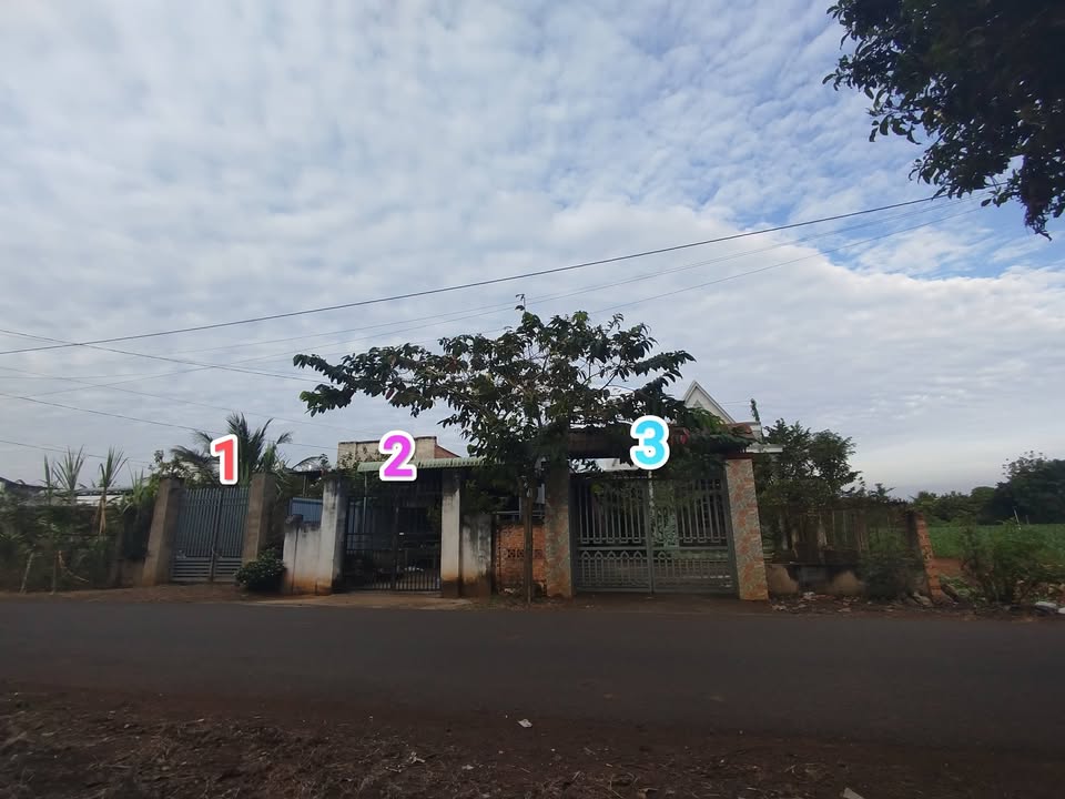 Đất 4392m² tại ấp 10, xã Xuân Tây, Cẩm Mỹ chỉ 5.27 tỷ - Đầu tư sinh lời!