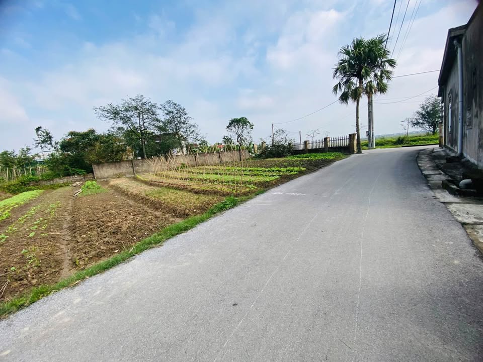 Đất nền Liên Thanh, Trần Phú, 130m² giá 1.8 tỷ - Đầu tư sinh lời tuyệt vời!