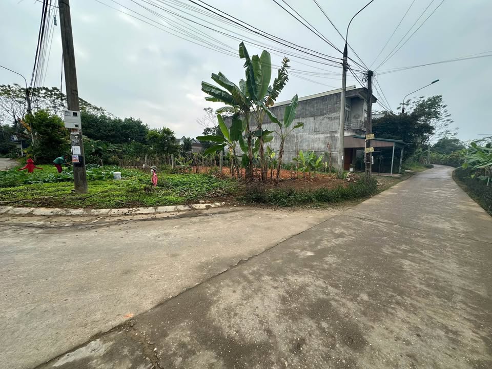 Đất nền Tràng Đà, Tuyên Quang 100m² giá 900 triệu - Cơ hội đầu tư tiềm năng!