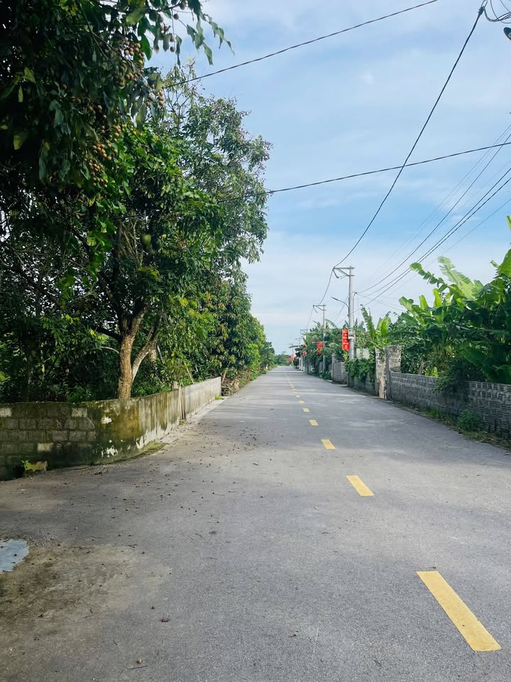 Đất nền tại Xuân Khê, Lý Nhân, Hà Nam 415m² giá 3.32 tỷ - Đầu tư sinh lời ngay!