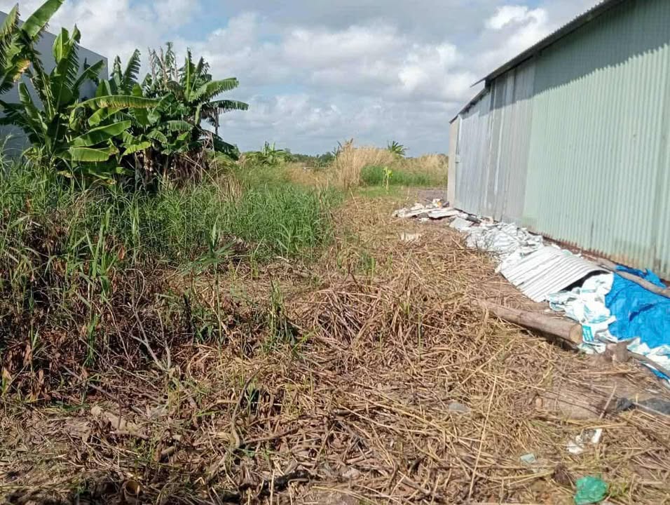 Đất nền Hồ Thị Kỷ, Cà Mau 1318m² giá 650 triệu - Cơ hội đầu tư hấp dẫn!