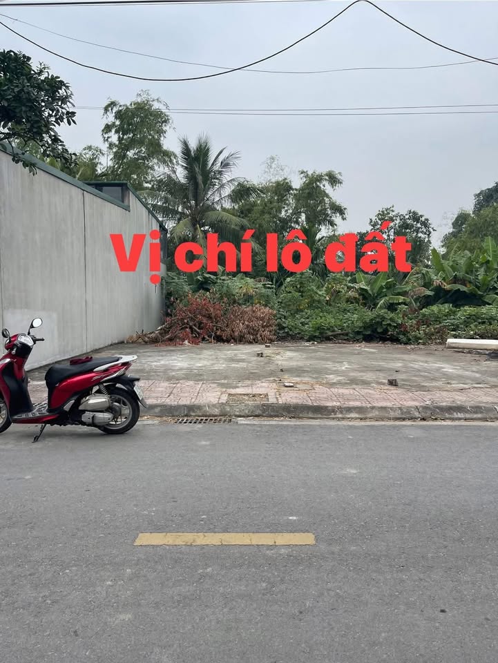 Đất nền An Bài Quỳnh Phụ 80m² giá 2.3 tỷ - Đầu tư sinh lời ngay!