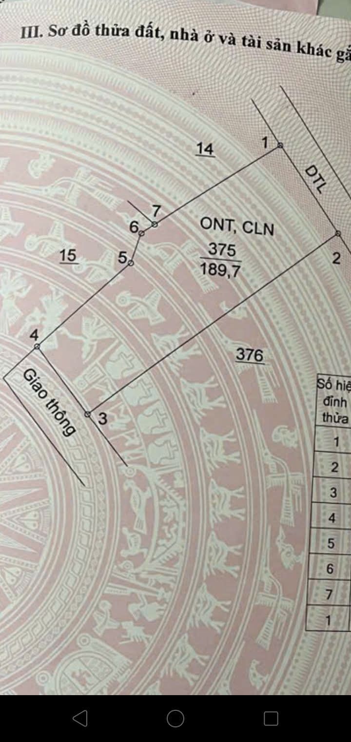 Đất nền 200m² tại Châu Sơn, Quỳnh Phụ - Đường ô tô vào tận nơi!