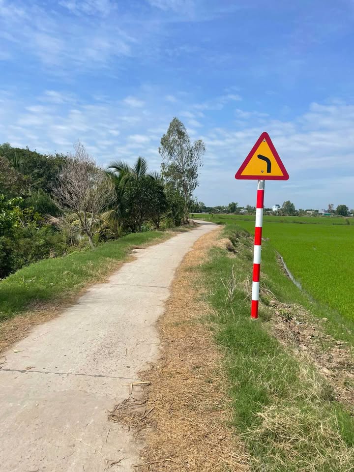 Đất nông nghiệp 3.326m² xã Thanh Bình, Đồng Tháp - Đầu tư sinh lời hấp dẫn!