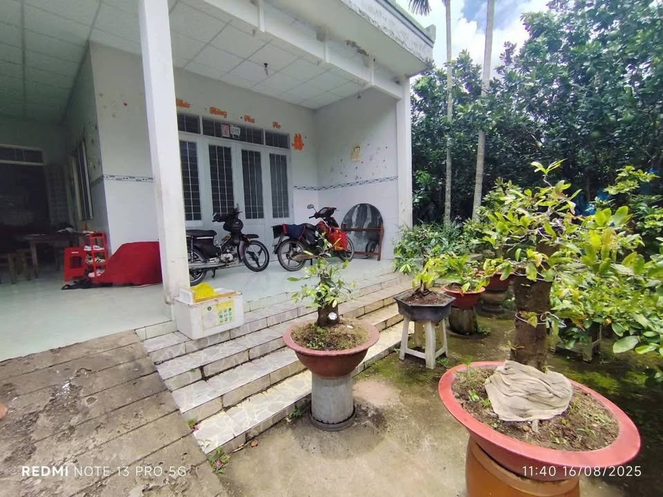 Đất Giao Long Châu Thành Bến Tre 2900m² giá 2 tỷ - Đất sạch đẹp, có nhà cấp 4!