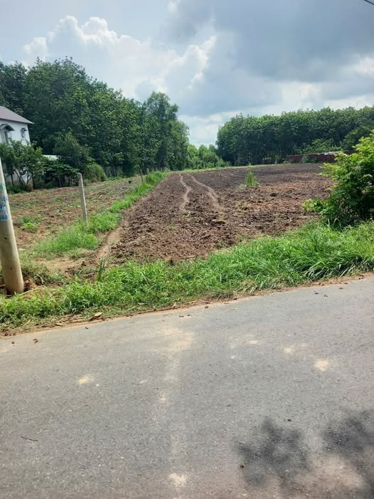 Đất nền 250m² xã Minh Thạnh, Dầu Tiếng - Giá mềm, đầu tư sinh lời!