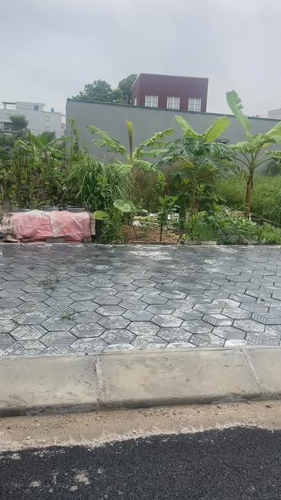 Đất nền Hoàng Hoa Thám, Tiên Lữ 100m² giá 3 tỷ - Hướng Nam, vị trí đẹp