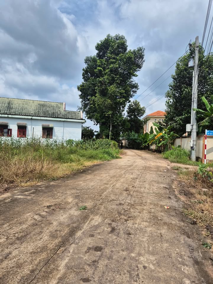 Đất Phú Giáo Bình Dương 346m² giá 620 triệu - Sổ hồng chính chủ!