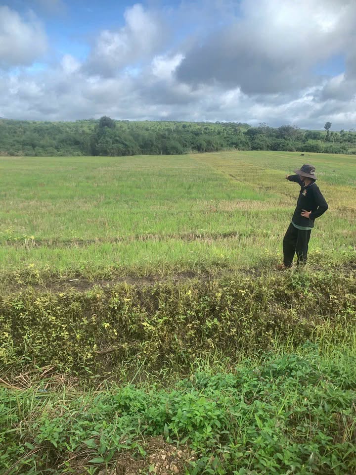 Đất nền Tam Giang, Krông Năng 1700m² - Đường đi thuận lợi, giá tốt!