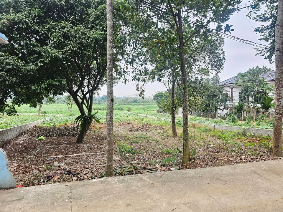 Đất nền Yên Bài, Ba Vì 760m² giá chỉ 4.56 tỷ - Cơ hội đầu tư hiếm có!