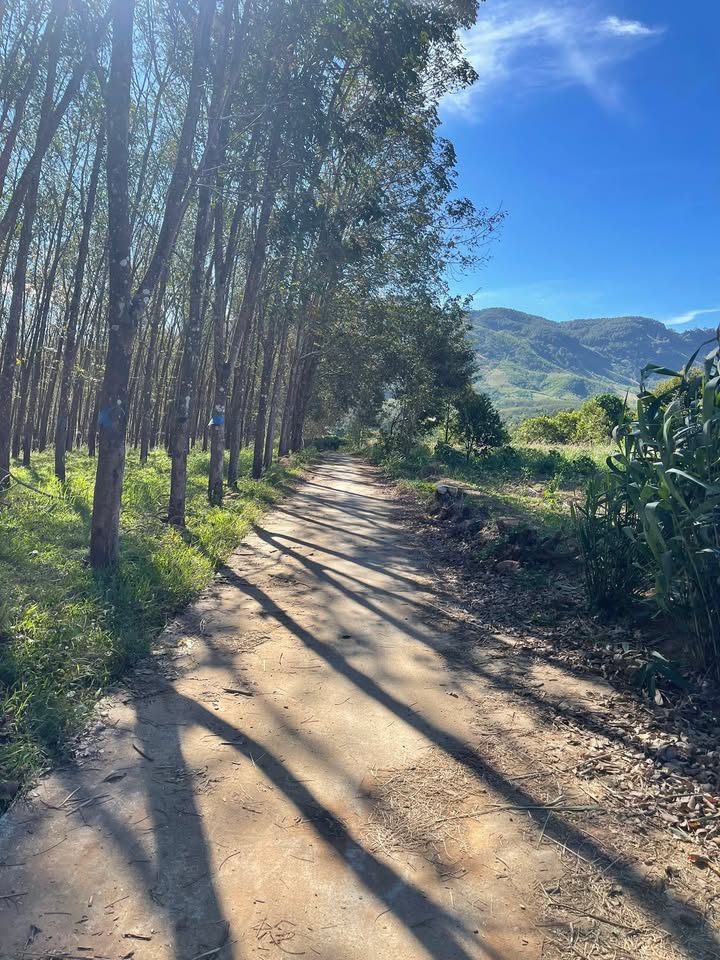 Đất nền Đăk Long Đăk Hà 9000m² giá chỉ 400 triệu - Cơ hội đầu tư hấp dẫn!