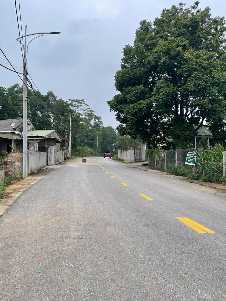 Đất nền tại đường DH7, xã Văn Lung, diện tích 105m², giá 1.1 tỷ - Cơ hội đầu tư tuyệt vời!