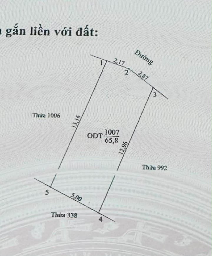 Đất nền Ninh Phúc 66m² - Chính chủ cần bán gấp!