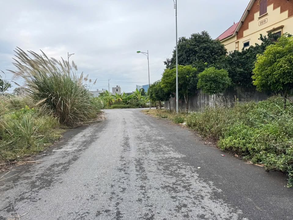 Đất nền Liêm Chính, Phủ Lý 115m² giá 5.775 tỷ - Cơ hội đầu tư sinh lời vượt trội!