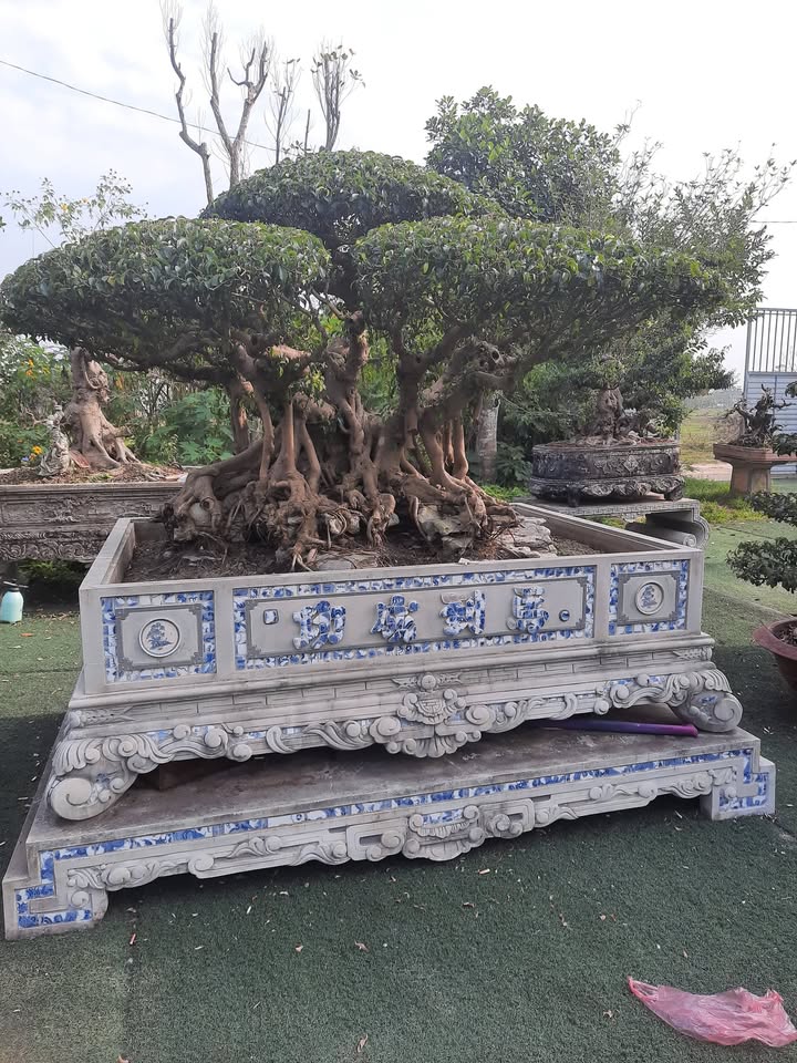 Đất thổ cư 50m² Thôn Tây Phương, Thạch Thất - Giá chỉ 1.15 tỷ, sổ đỏ chính chủ!