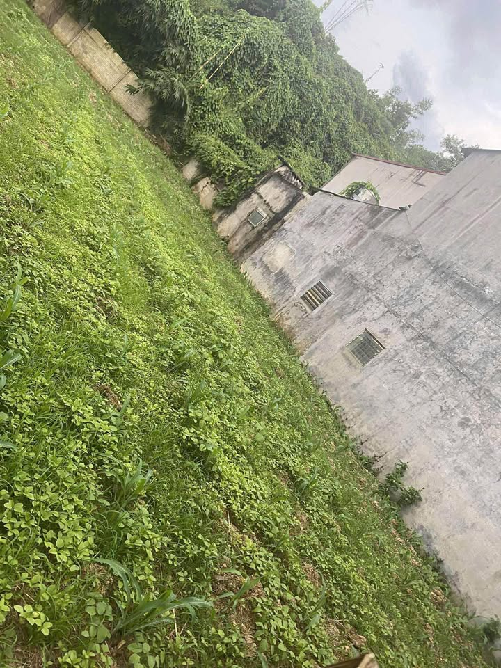 Đất nền Phường Nam Cường 150m² giá 1.3 tỷ - Vị trí kinh doanh lý tưởng!