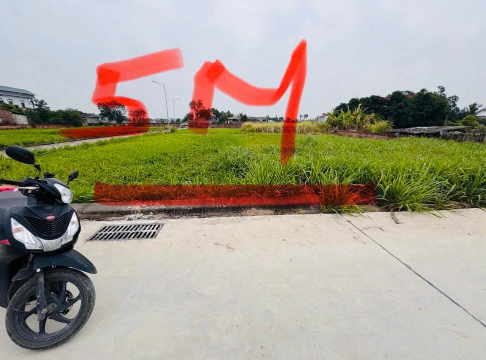 Đất nền Trừng Xá, Lương Tài, Bắc Ninh 100m² giá 1.9 tỷ - Đường ô tô tránh nhau!