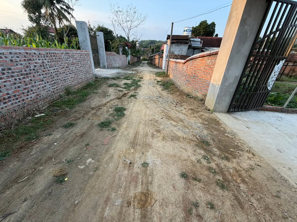 Đất nền Sơn Hùng - Thanh Sơn 800m² giá 1 tỷ - Cơ hội đầu tư tuyệt vời!