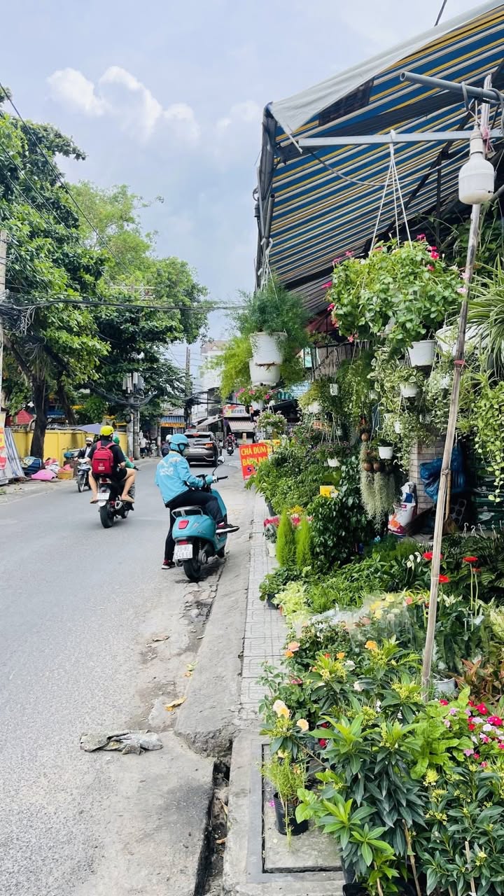 Nhà phố Gò Vấp 63m² giá 6.5 tỷ - Ô tô vào tận nơi!