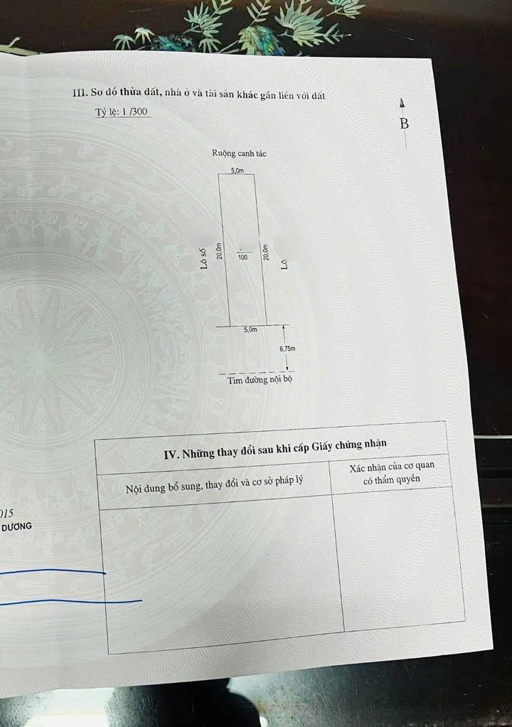 Đất nền Hoàng Mai, Hải Phòng 100m² giá 4.5 tỷ - Vị trí đắc địa, đầu tư sinh lời!