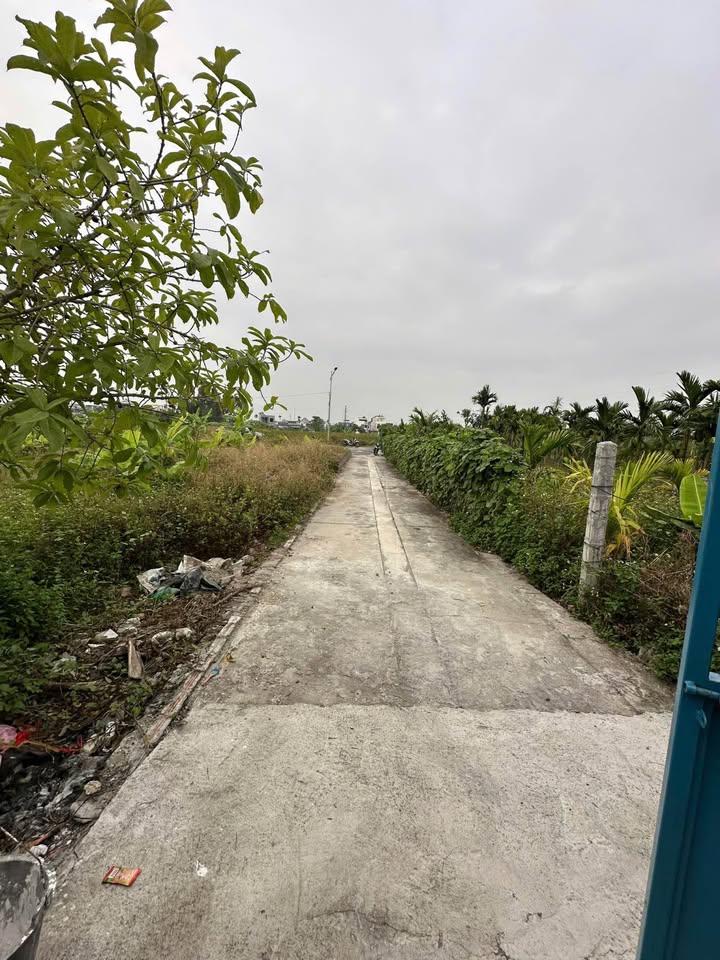 Nhà xưởng cho thuê tại 15 Vọng Hải, Dương Kinh, Hải Phòng - Diện tích 800m² chỉ 20 triệu/tháng!