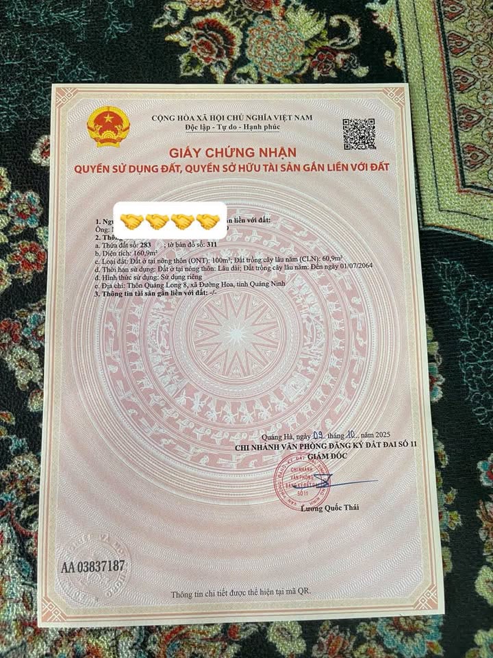 Đất nền Quảng Long, Hải Hà 160m² - Mặt tiền 5.5m, vị trí lô góc đắc địa!