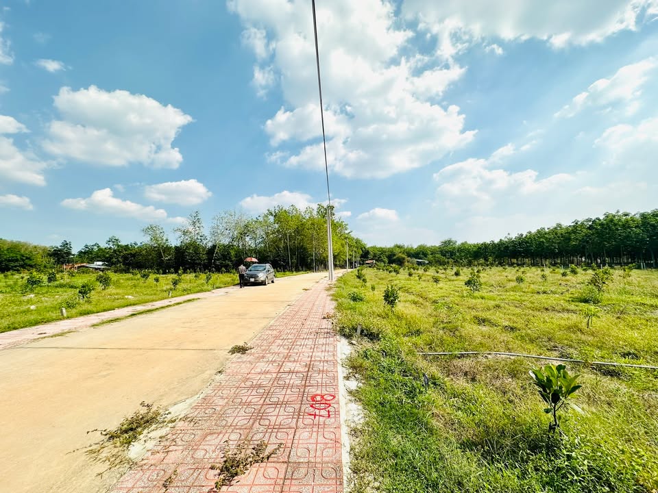 Đất nền An Bình, Phú Giáo 1306.8m² giá 1.9 tỷ - Đầu tư sinh lời lý tưởng!