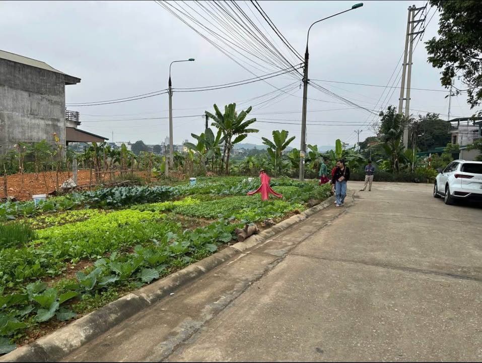 Đất nền Tràng Đà Tuyên Quang 100m² giá 1.3 tỷ - Đầu tư sinh lời tiềm năng!