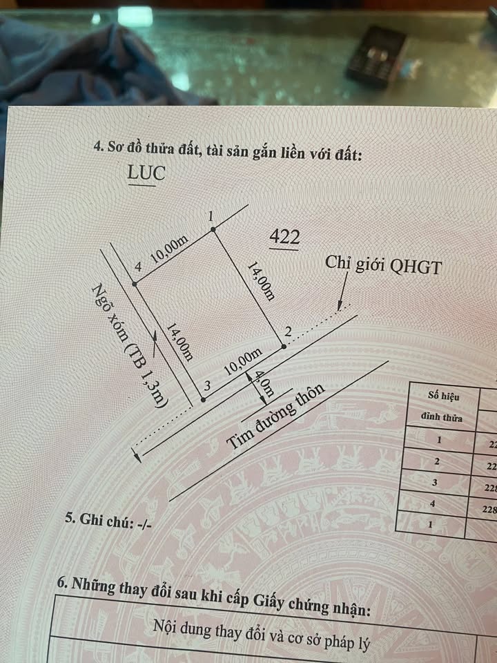 Đất nền Tiên Lãng Hải Phòng 300m² - Đường trục Đông Hưng, Giá tốt cho đầu tư!