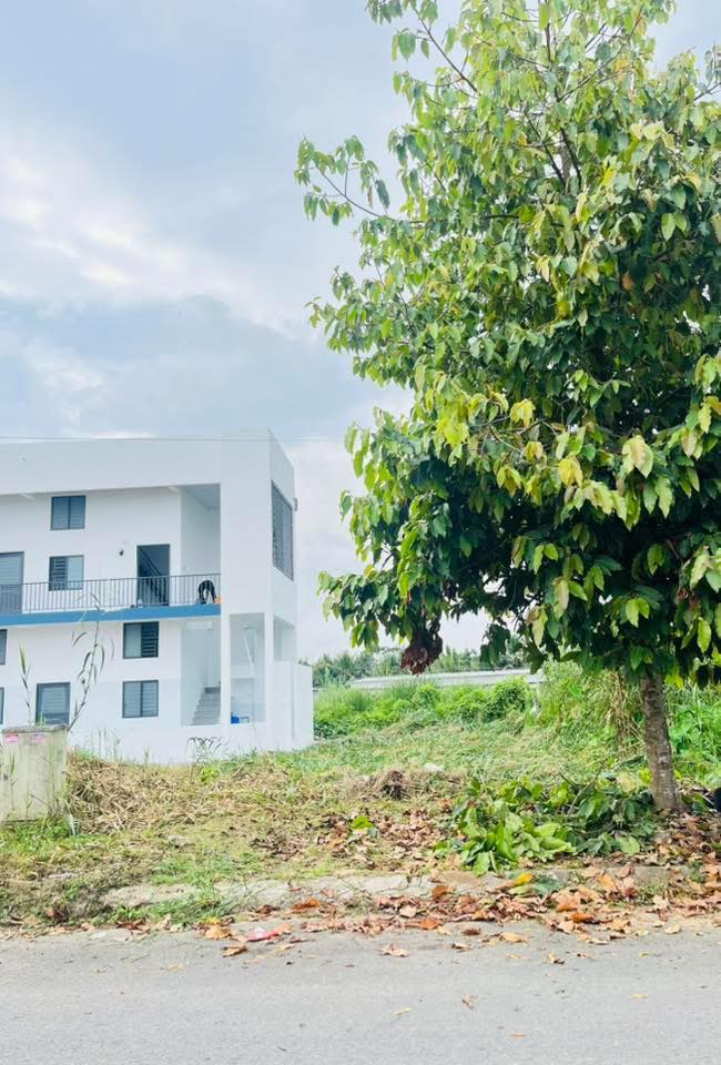 Đất nền hẻm B8 KDC Phú An - 81m² giá 2.8 tỷ - Cơ hội đầu tư lý tưởng!