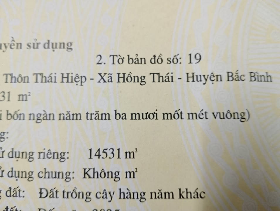 Đất Hồng Thái Bắc Bình 14.531m² giá 1.1 tỷ - Sổ đỏ chính chủ, gần biển!