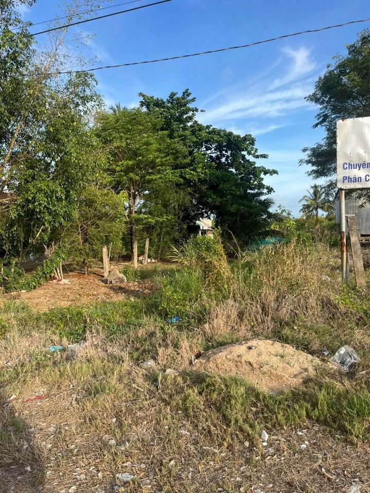 Đất mặt tiền Quốc Lộ 1A Tân Lập 612m² giá 1.5 tỷ - Cơ hội đầu tư tuyệt vời!