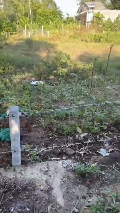 Đất nền Thăng An, Hòa Vang, Đà Nẵng 467m² - Sổ đỏ chính chủ, giá 1 tỷ!