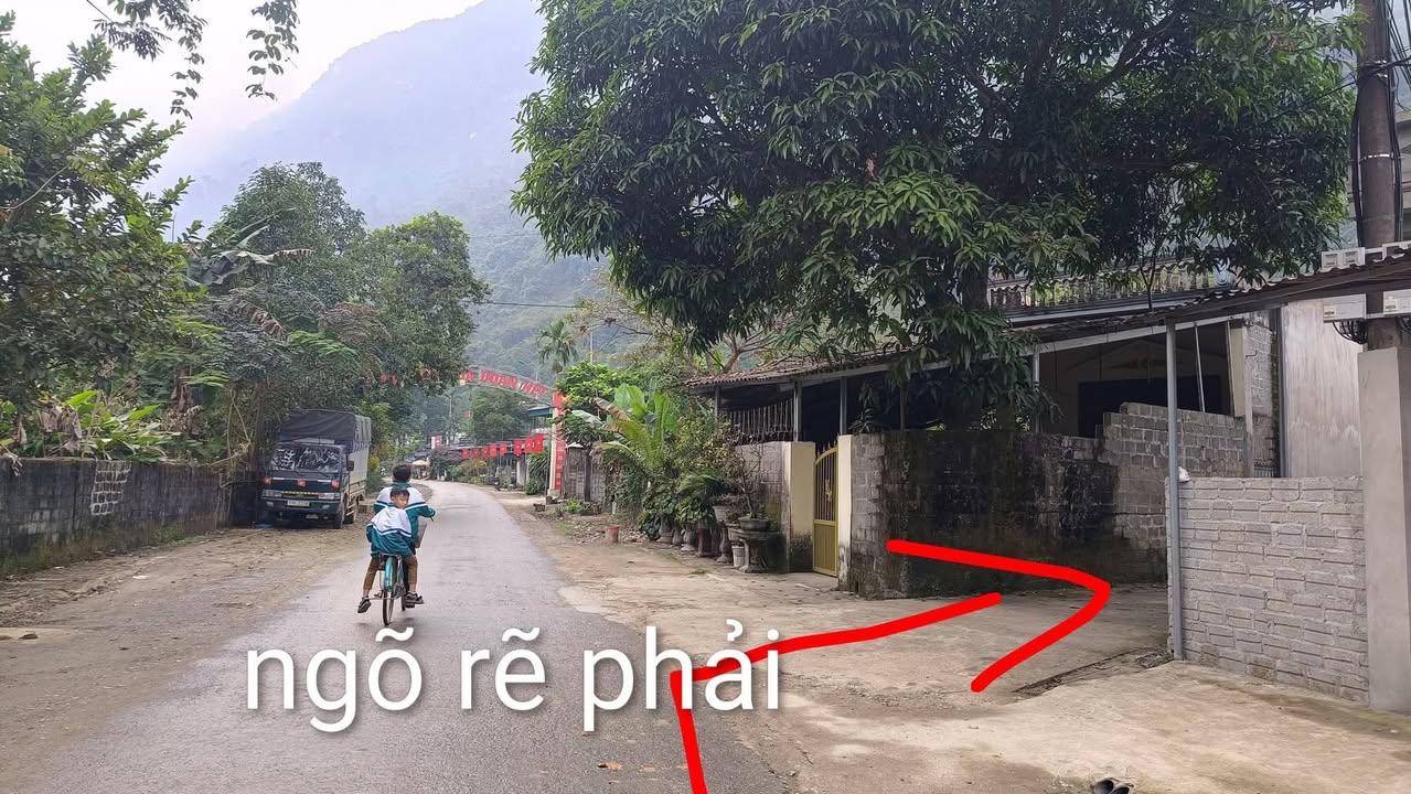 Lô đất thổ cư Ngọc Đường 204.4m² giá thỏa thuận - Vị trí đẹp thuận tiện di chuyển!