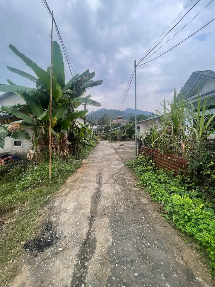 Bán đất Vị Xuyên Hà Giang 504m² - Pháp lý rõ ràng, an ninh tốt!