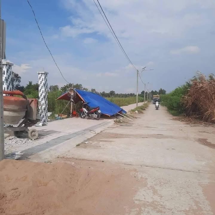 Đất nền Ấp Bắc, xã Tân Thạnh, huyện Thanh Bình 100m² giá 290 triệu - Sổ đỏ chính chủ!