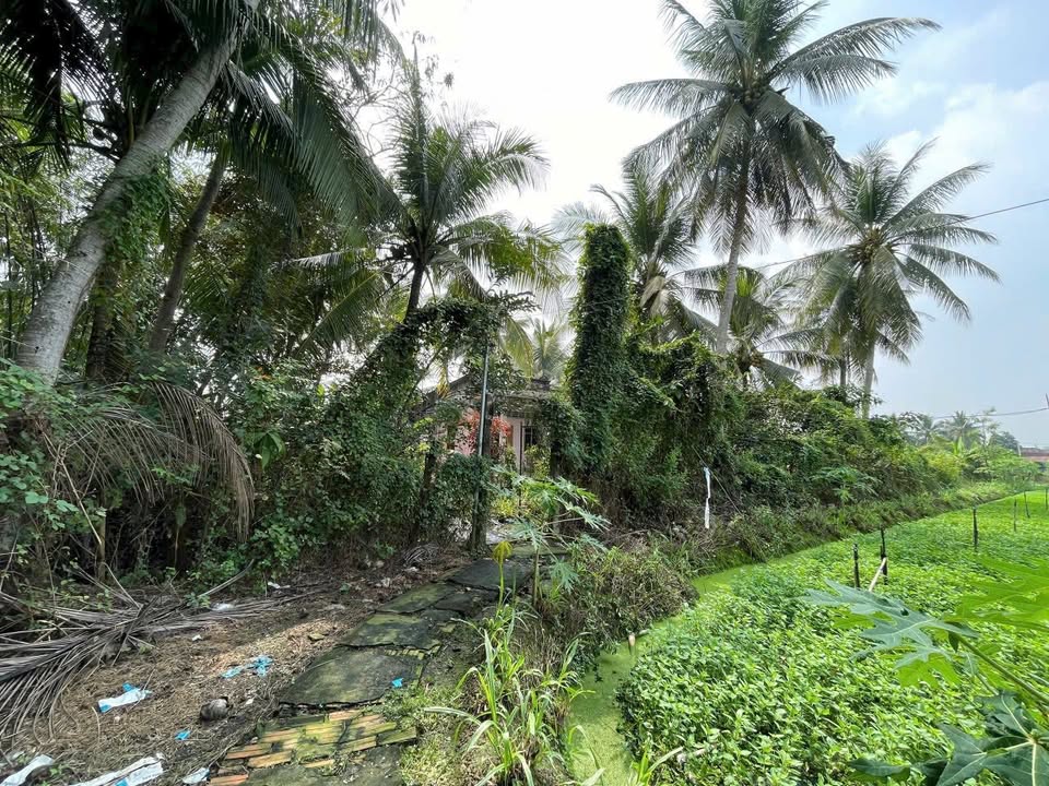 Đất Long Hưng Châu Thành 2011m² giá 1.35 tỷ - Cơ hội đầu tư tuyệt vời!