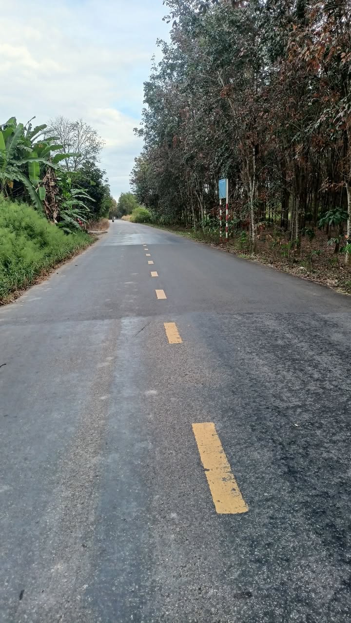 Đất nền Phước Thành, Củ Chi 250m² giá 900 triệu - Sổ hồng riêng, đầu tư sinh lời!