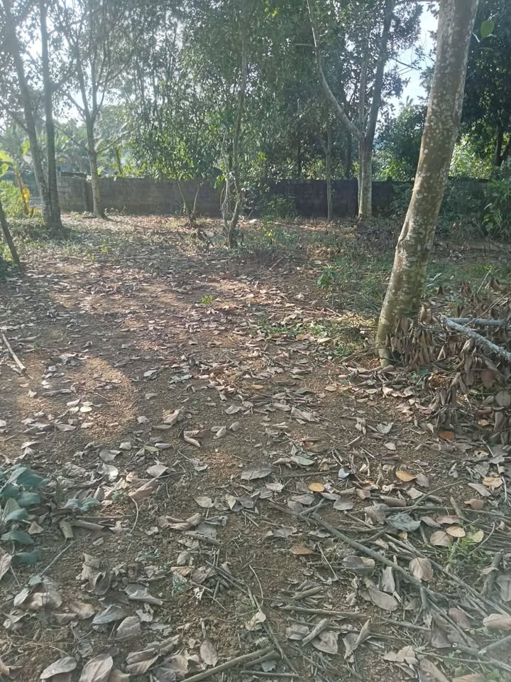 Đất thổ cư 400m² tại xóm Đầm Giàn, Kim Bôi, Hòa Bình - Gần khu nghỉ dưỡng Sirina