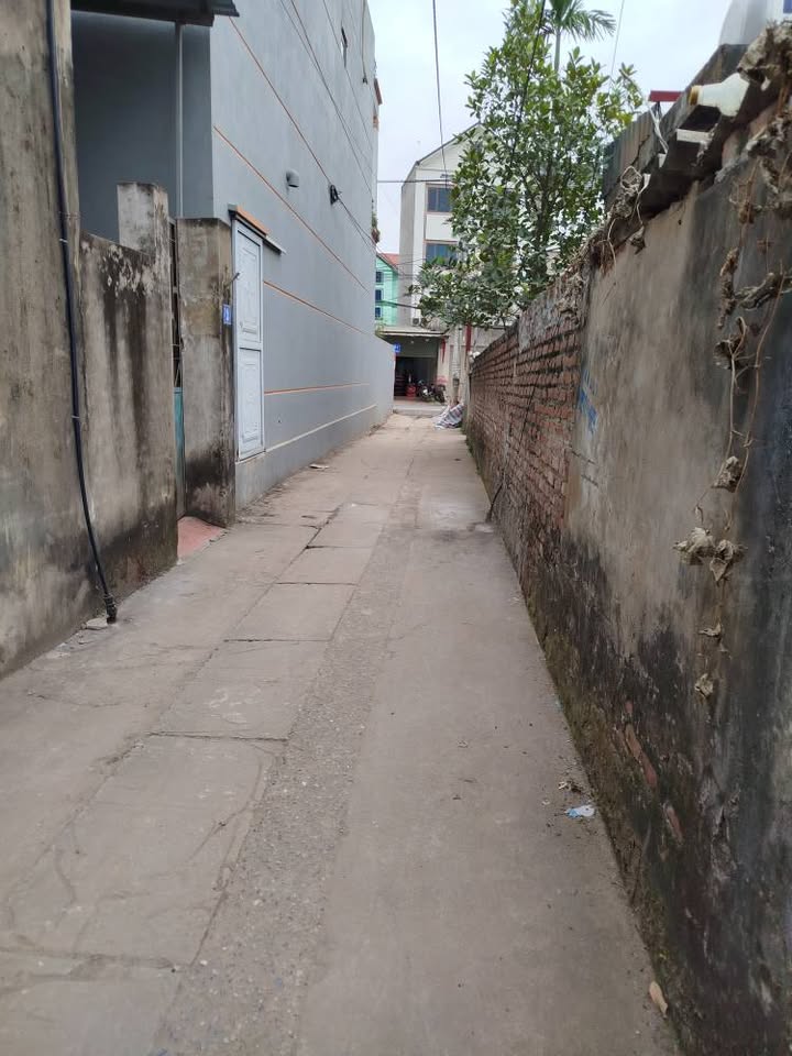 Đất Tây Tựu Bắc Từ Liêm 60m² giá 7 tỷ - Sổ đỏ chính chủ, vị trí đẹp!