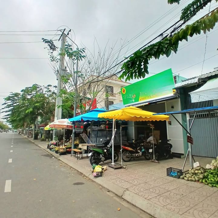 Nhà mặt tiền Trần Quang Diệu 100m² giá 10 triệu - Vị trí kinh doanh đắc địa!