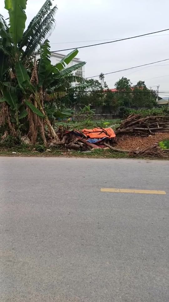 Đất nền Quỳnh Lưu 200m² - Sẵn sàng xây dựng ngay!