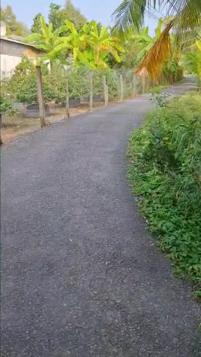 Đất nền mặt tiền phường Thanh Hòa, TX Cai Lậy 198m² giá 850 triệu - Đầu tư sinh lời ngay!