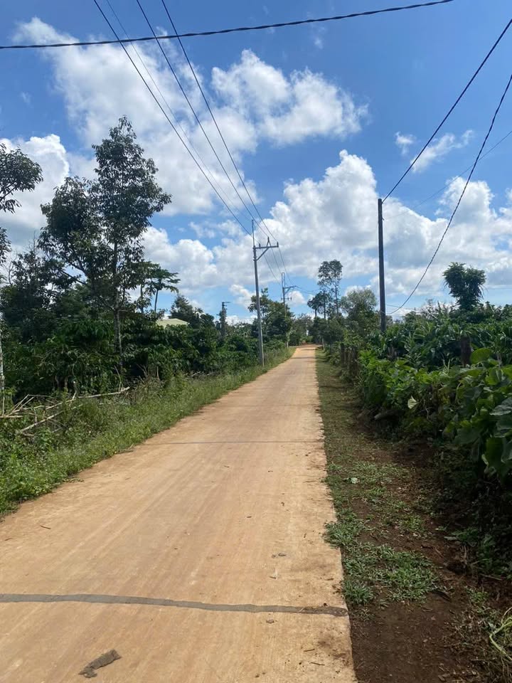 Đất nền Ia Hrung 230m² giá 300 triệu - Lô góc 2 mặt tiền thông thoáng!