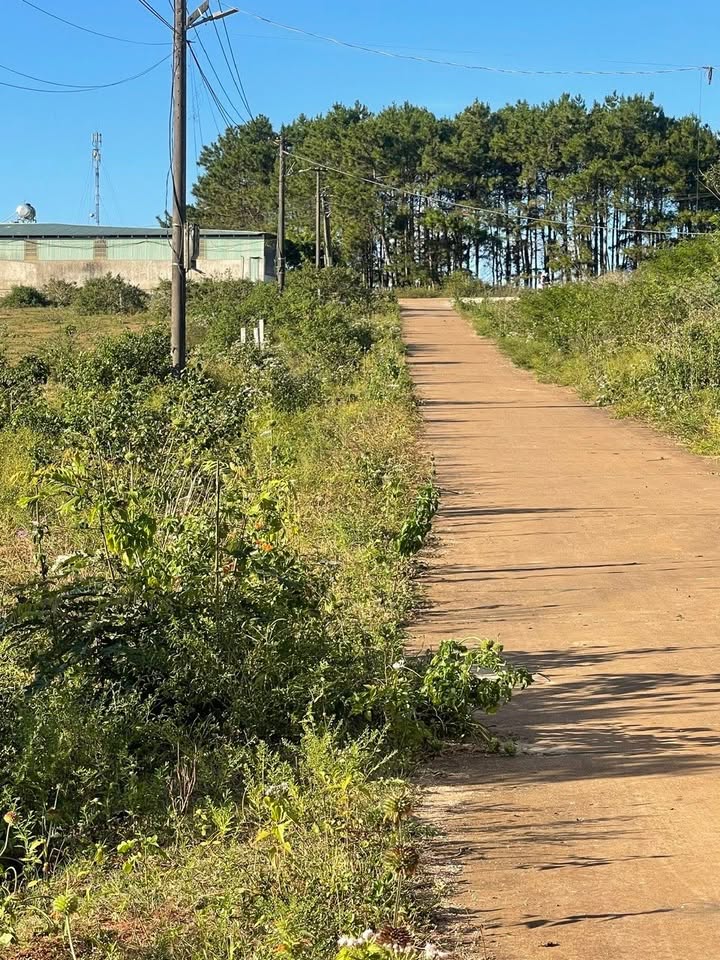 Đất ở đô thị Chi Lăng, Pleiku 144m² giá 400 triệu - Đầu tư sinh lời cao!