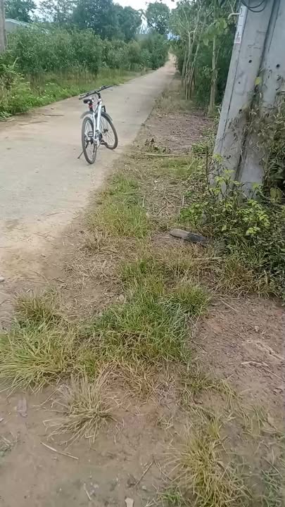 Đất ở tại xã Đăk Tơ Ver, huyện Chư Păh, 960m² giá 350 triệu - Cơ hội đầu tư tuyệt vời!